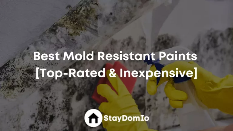 Best Mold Resistant Paints July 2023 (Mold Killing Paint)