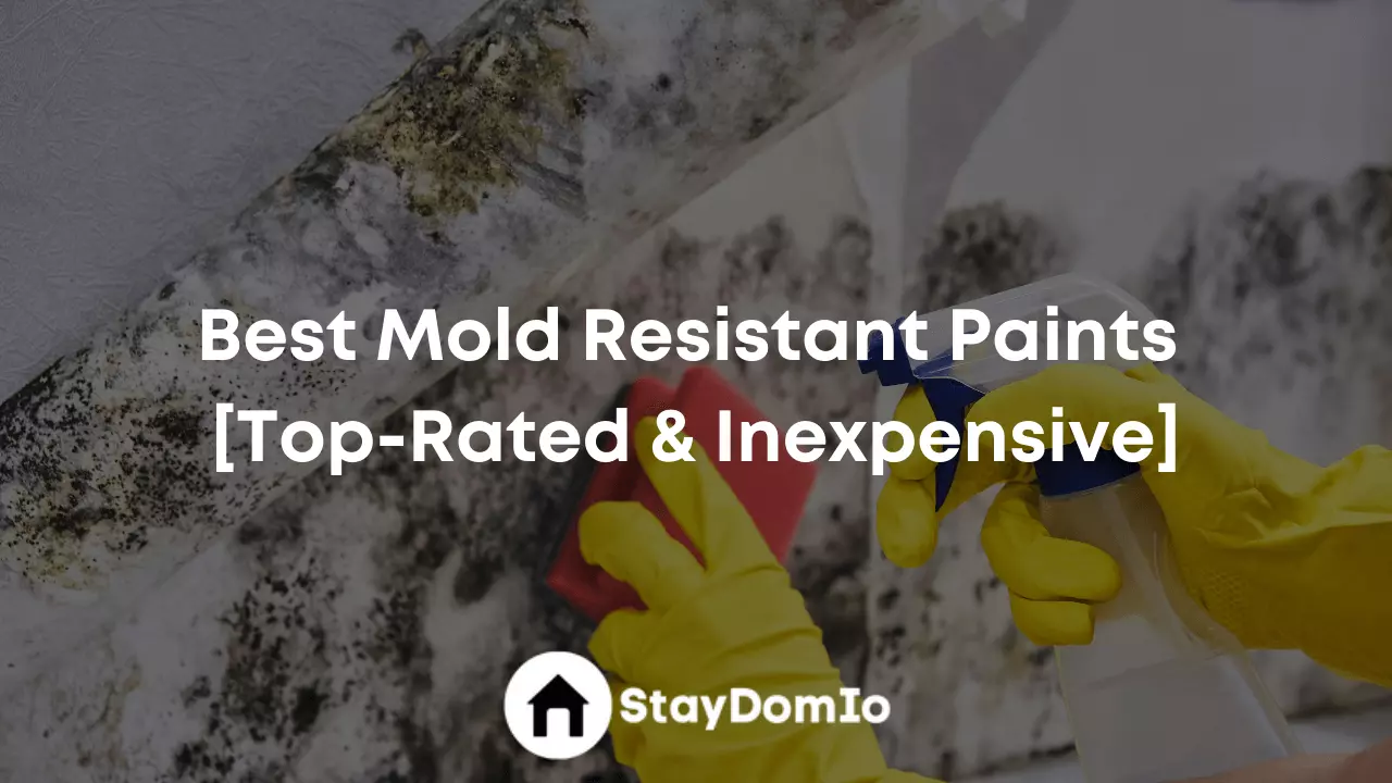 Best Mold Resistant Paints Review.webp