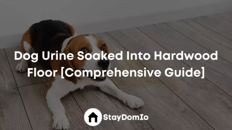 Dog Urine Soaked Into Hardwood Floor [Easy DIY Process]