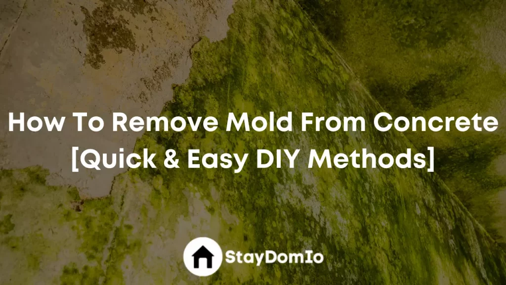 How To Remove Mold From Concrete [Quick & Easy DIY Methods]