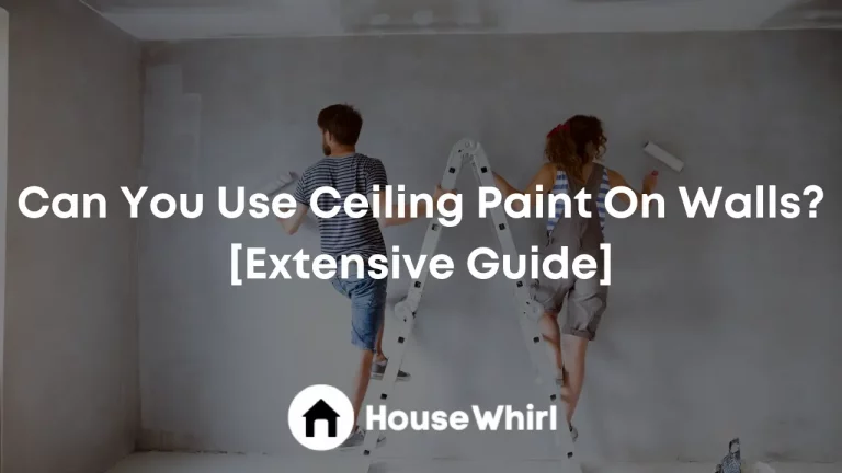 Can You Use Ceiling Paint On Walls? [Extensive Guide]