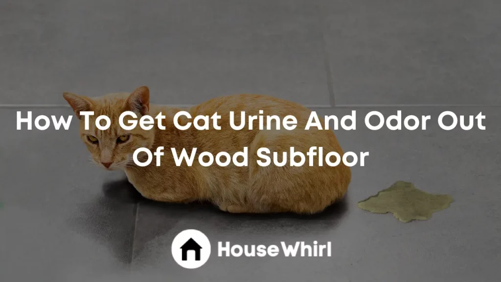 how to get cat urine and odor out of wood subfloor house whirl