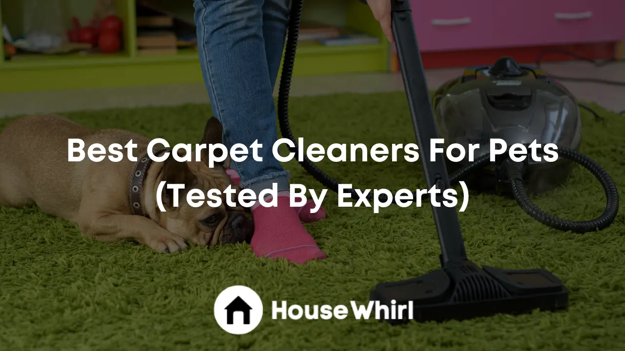 best carpet cleaners for pets house whirl