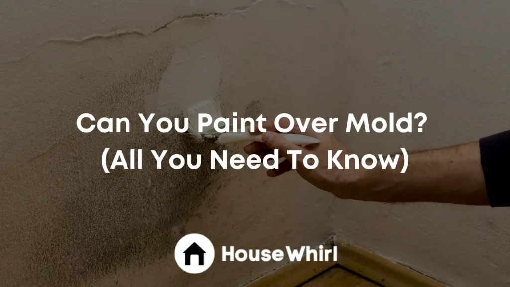 can you paint over mold house whirl